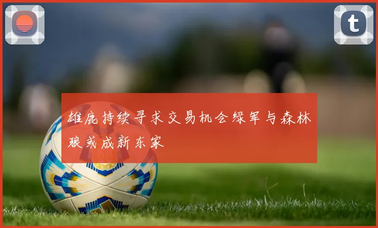 雄鹿持续寻求交易机会绿军与森林狼或成新东家